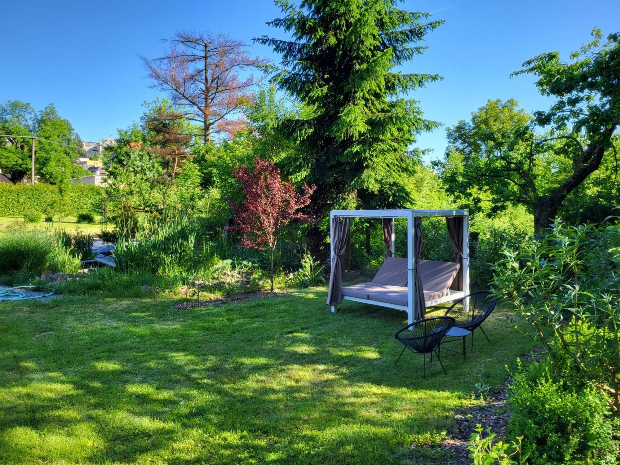 Apartman V Podzamci Rychnov nad Kneznou Exterior photo